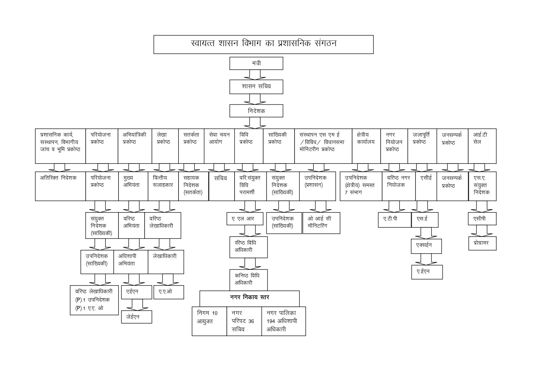 Organization Structure